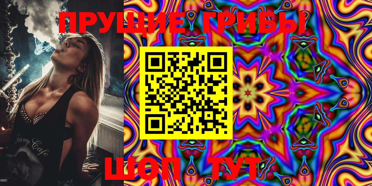 Минеральные Воды  Галлюциногенные грибы Psilocybine cubensis  Вход с VPN 