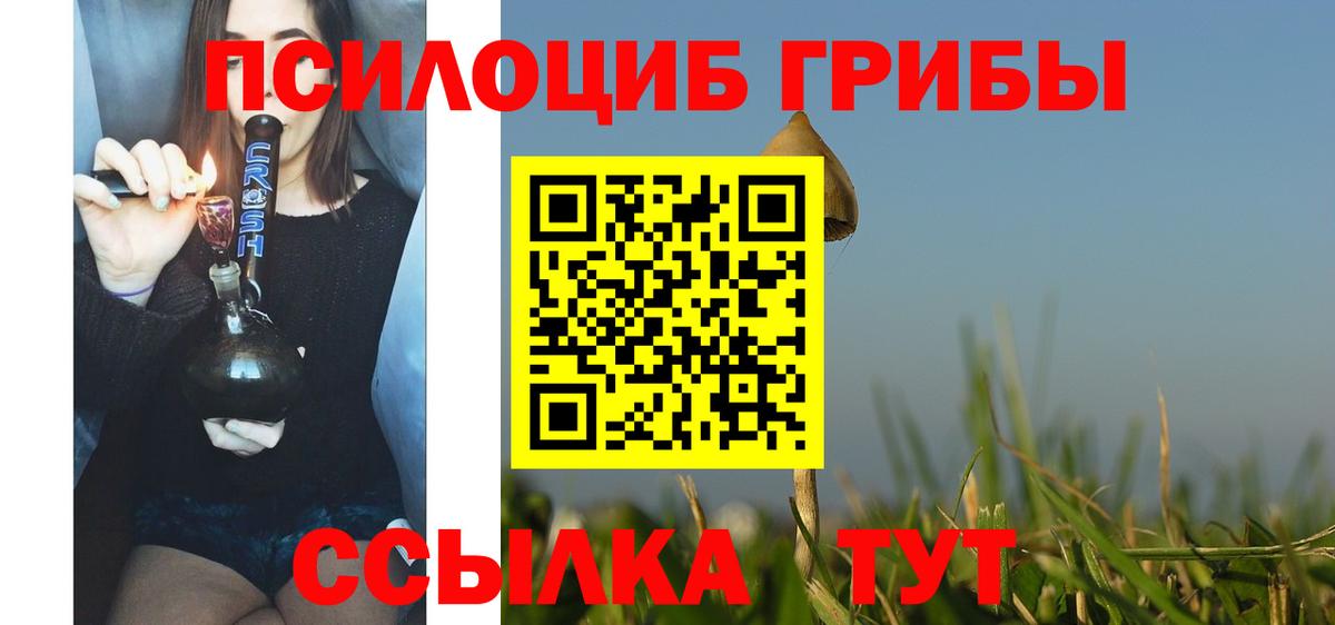 Псилоцибиновые грибы Psilocybine cubensis Минеральные Воды